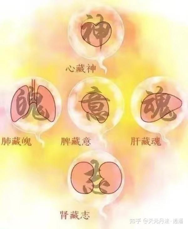 什么是道家讲的“精气神”? - 知乎