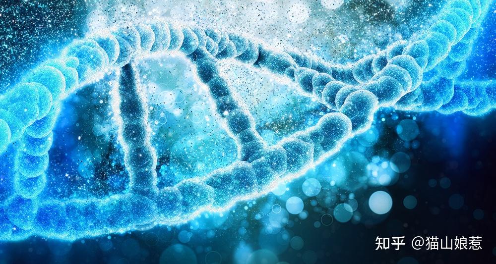研究人员首次在南极洲的沉积物样本中,检测到一百万年前的 DNA - 知乎