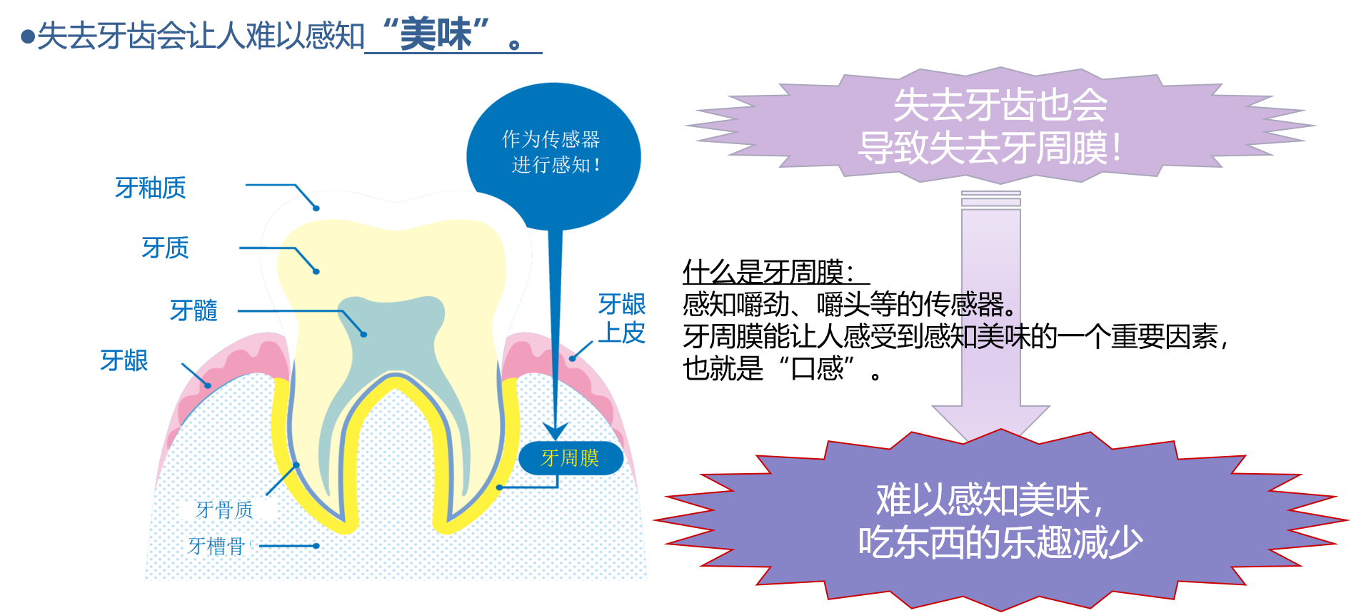 告别“老掉牙”！牙医珍藏的20条护牙知识！-北京达宝利健康科技有限公司