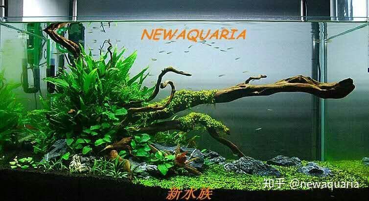v2-5a628d64089b1c0061655684465ecb35_r.jpg