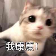 iPhone购机避坑指南