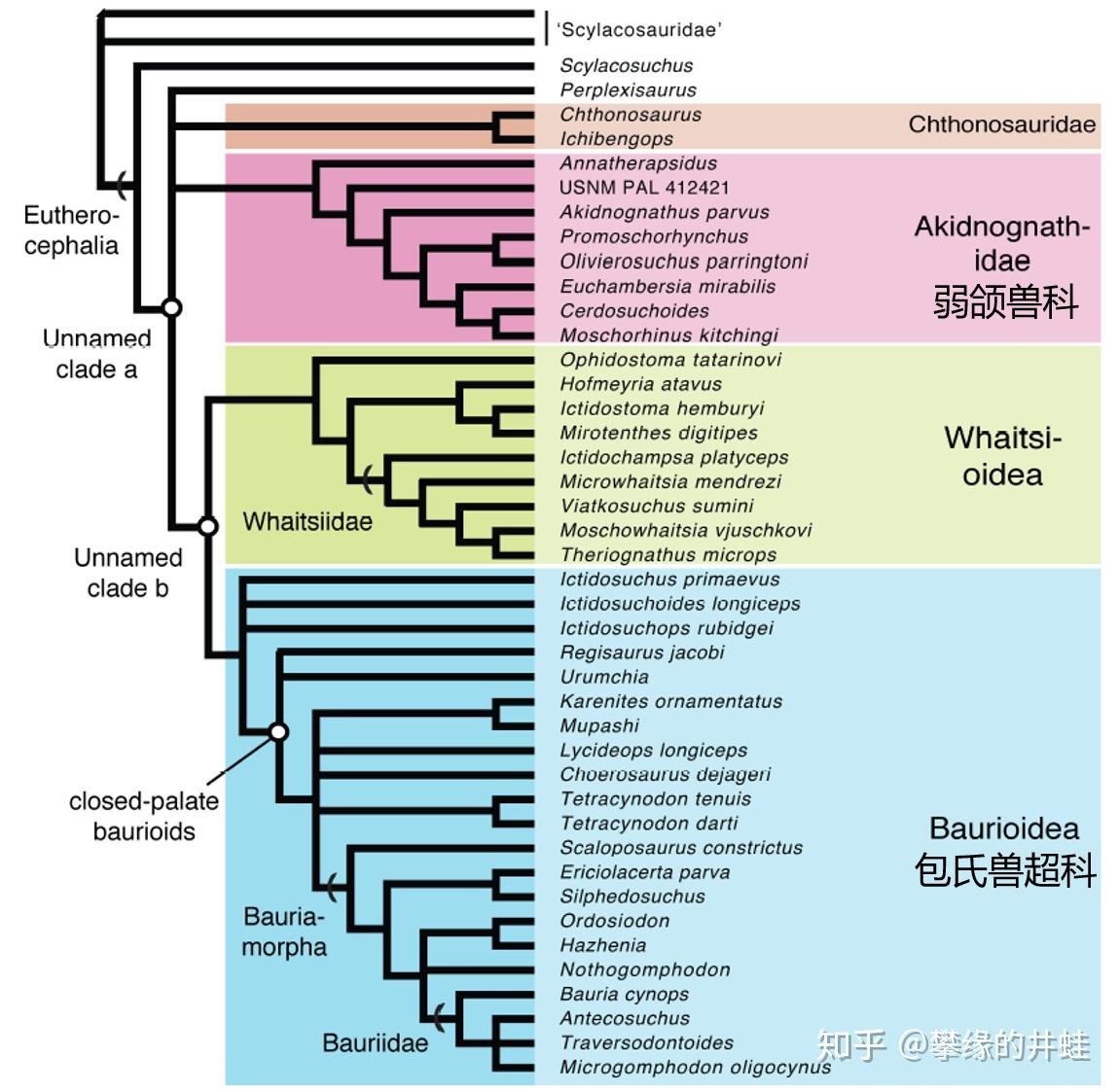 地球演义百兽图7赶狻猊