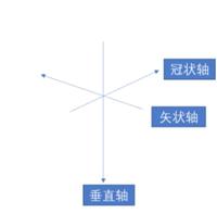 能量流瑜伽的解剖依据
