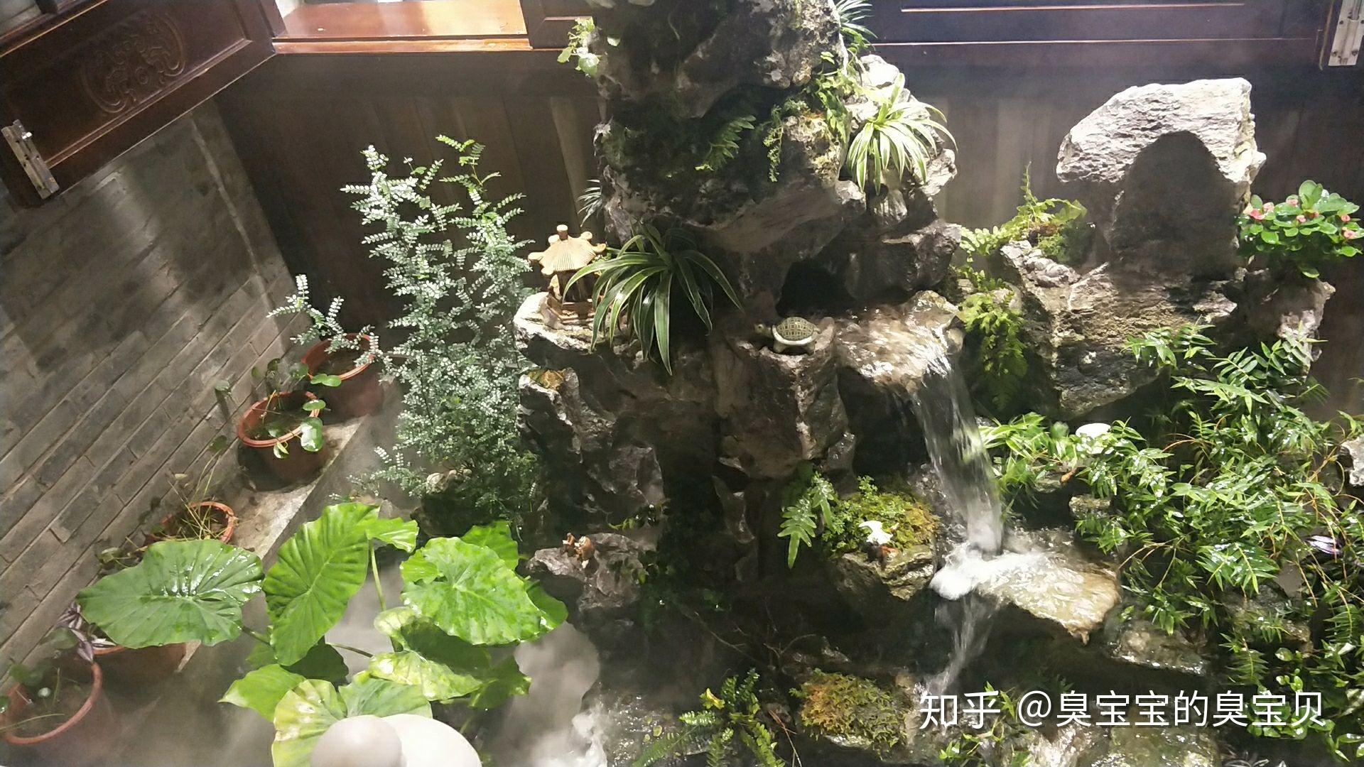 龜池可以種植什麼植物