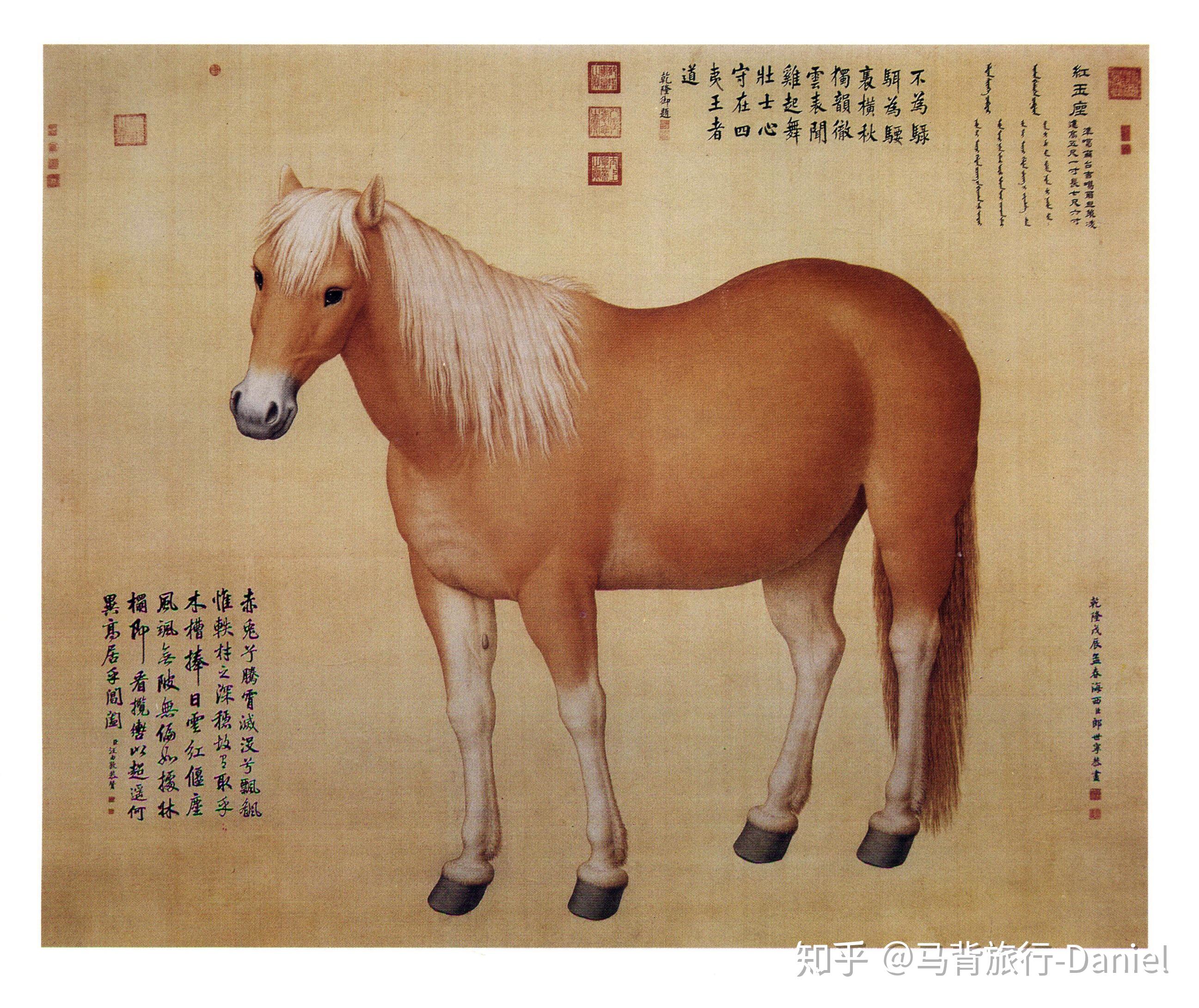 马场主带你看看乾隆爷的宝马良驹