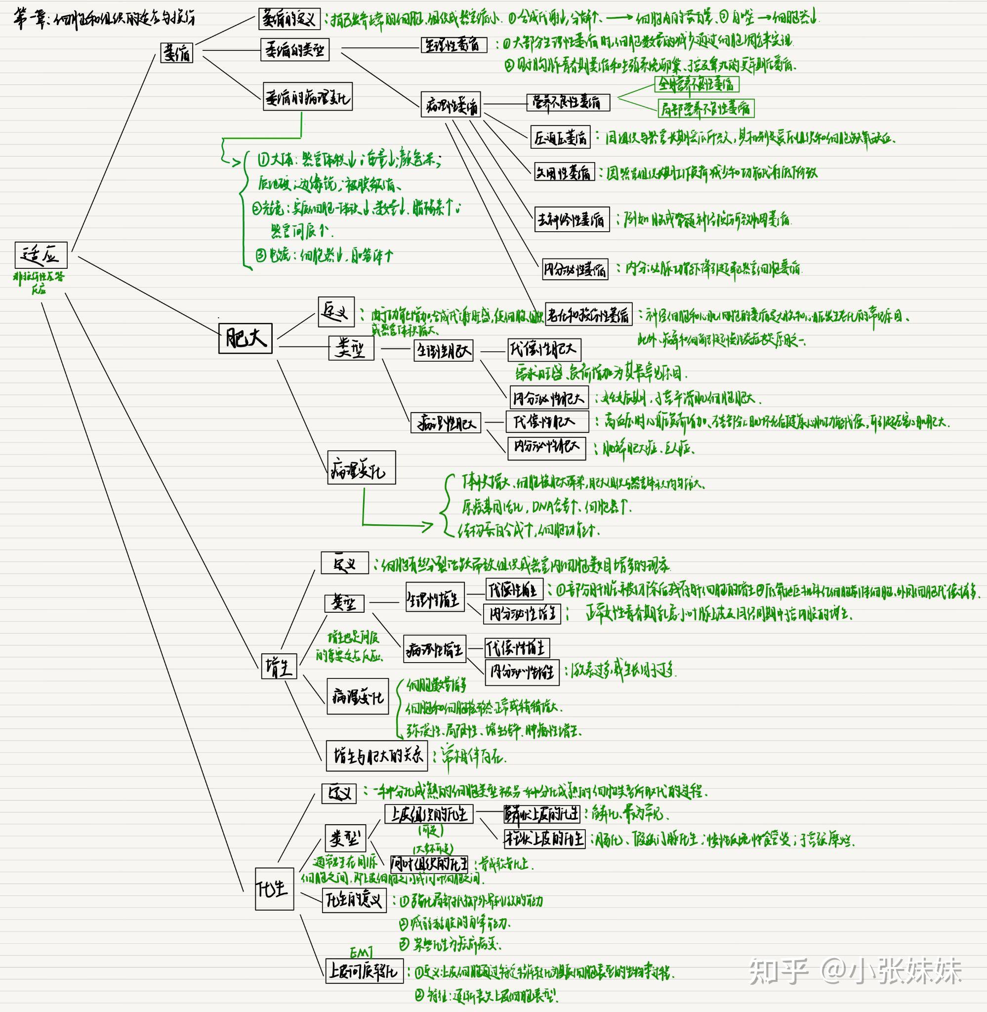 病理学思维导图高清pdf图片