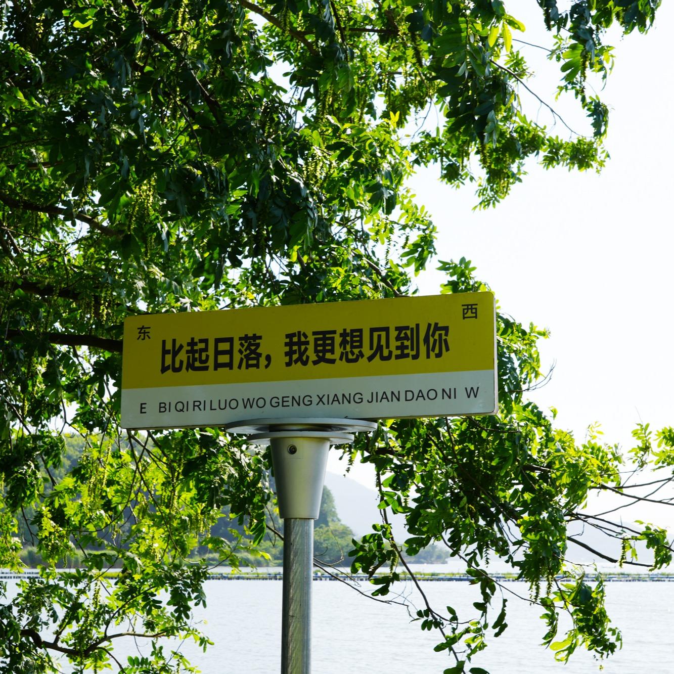 小满爱吃鱼