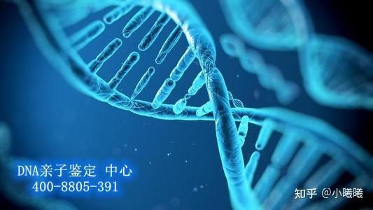 v2-5aa63a1e2d81374e1fc95218667c8a95_r.jpg