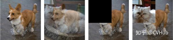 替补深度增强 新援表现亮眼 助攻防守全面升级引爆主场氛围