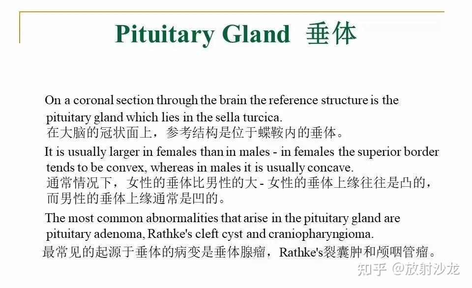 【收藏】蝶鞍及鞍旁区域解剖 - 知乎