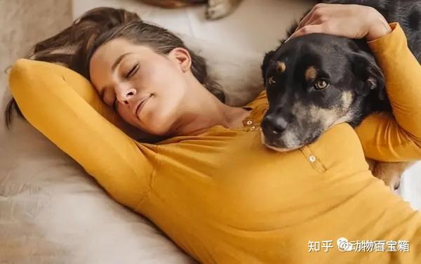 美国19岁少女录自己和狗发生性关系视频,警方:虐狗行为十年监禁 - 知乎
