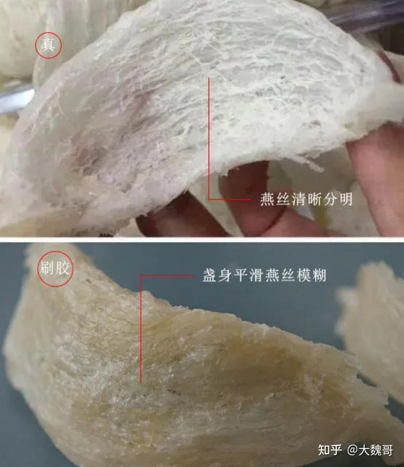 三,辨别真假燕窝
