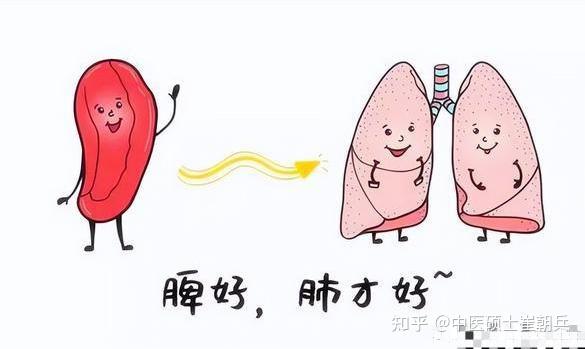 初咳在肺、痰咳在脾、久咳在肾,3个止咳中成药,教你正确止咳 - 知乎