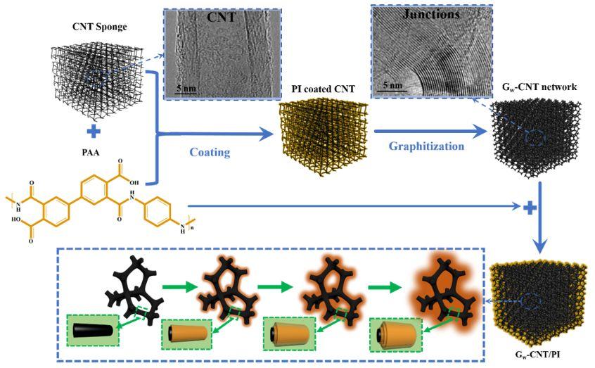 天津大學封偉團隊可控導熱導電兼顧回彈性的聚酰亞胺複合材料