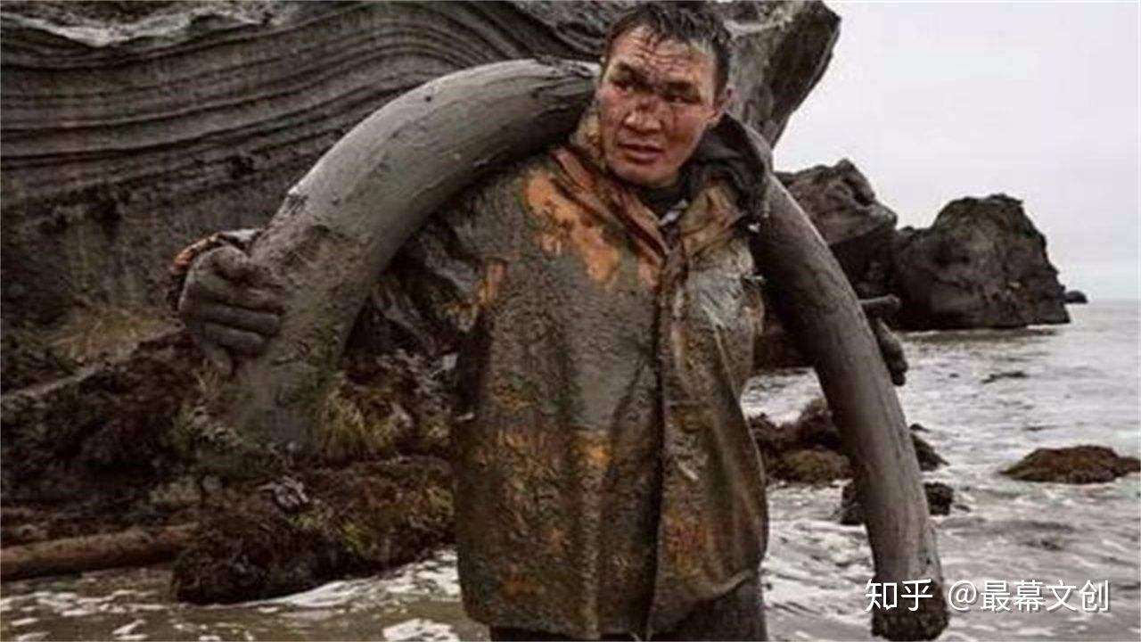 西伯利亚挖尸人长毛图片
