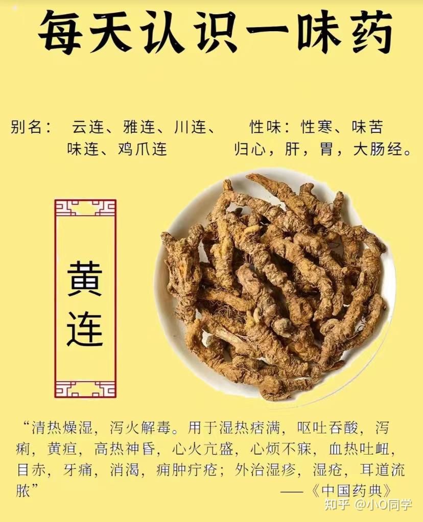 每天认识一味中草药-黄连 - 知乎