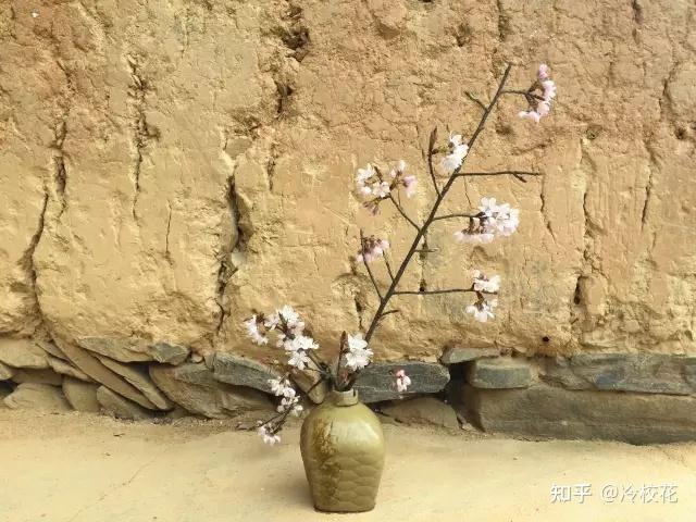 竹外桃花三两枝 - 知乎