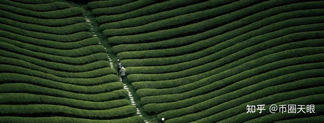 陆羽茶交所涉嫌传销非法集资