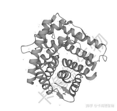 补体C3/C4(C3/C4)介绍 - 知乎