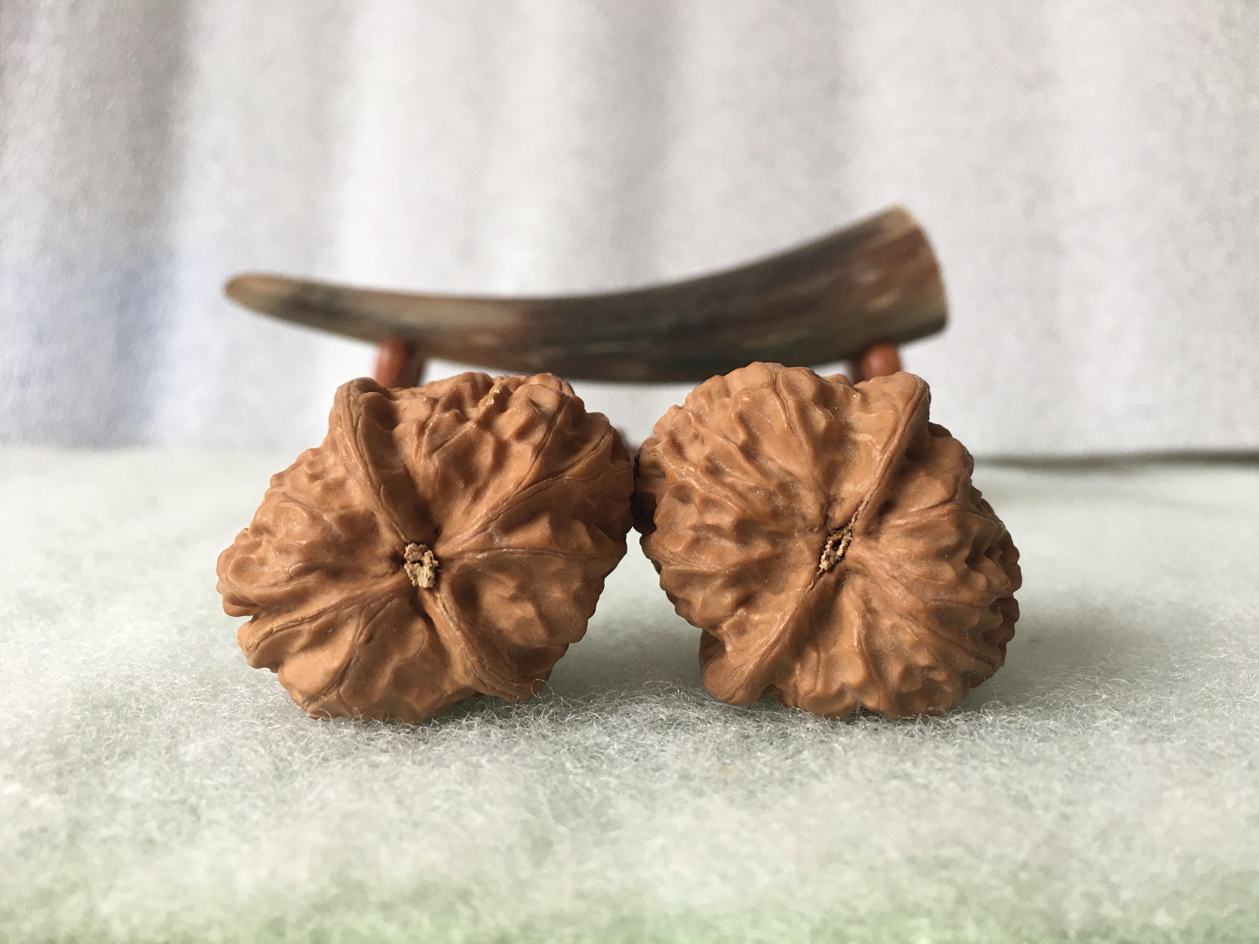 风氏文玩收藏馆:0087 麻核桃 猜不出品种的怪核桃