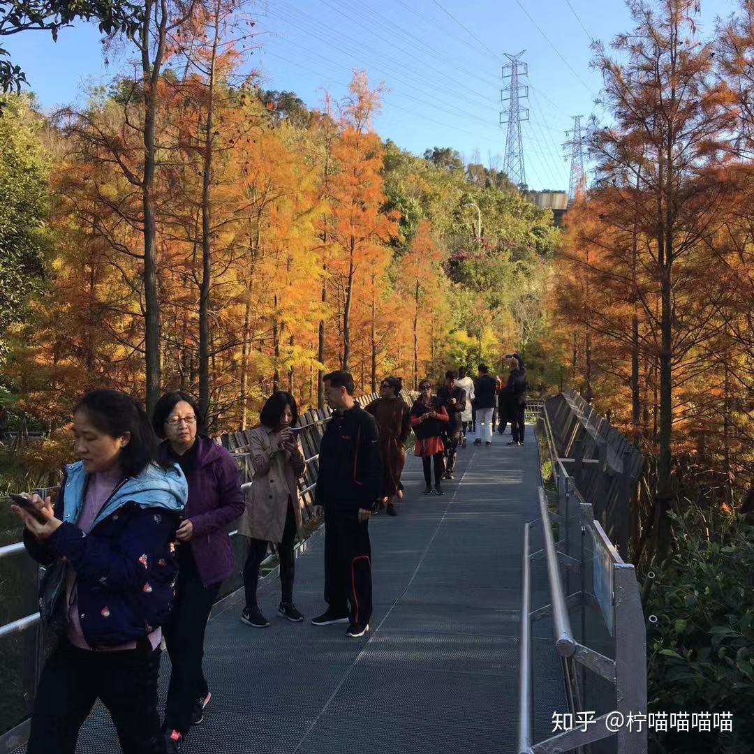 福家 美峰 福家 美峰