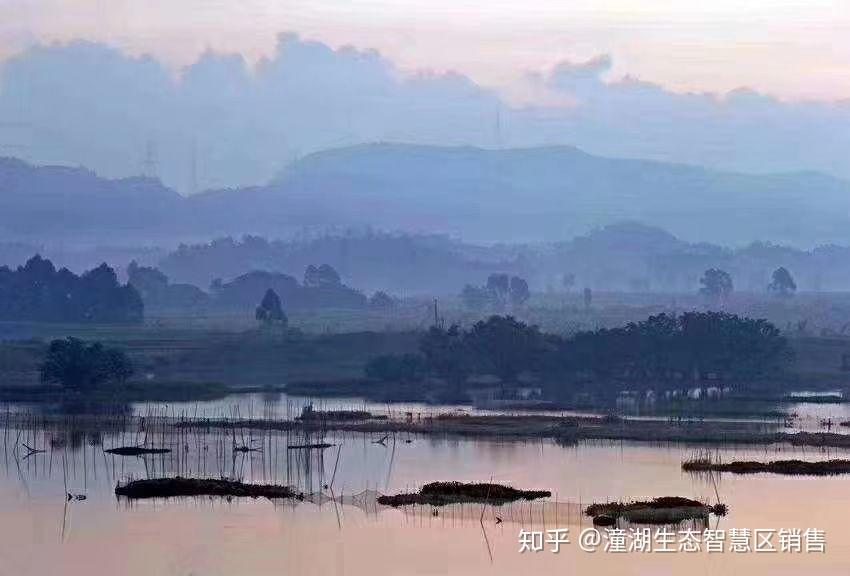 今天的潼湖,明天的松山湖