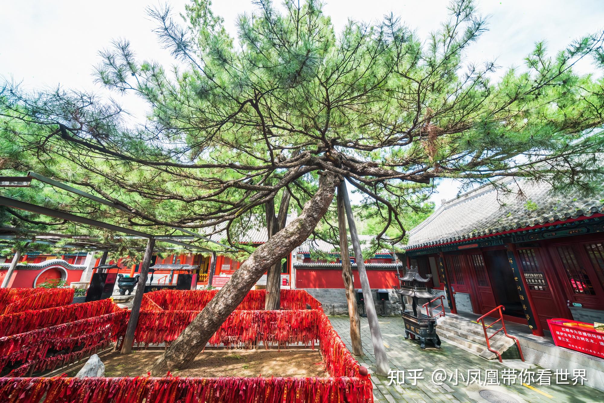 京北巨刹——古建筑群红螺寺之美