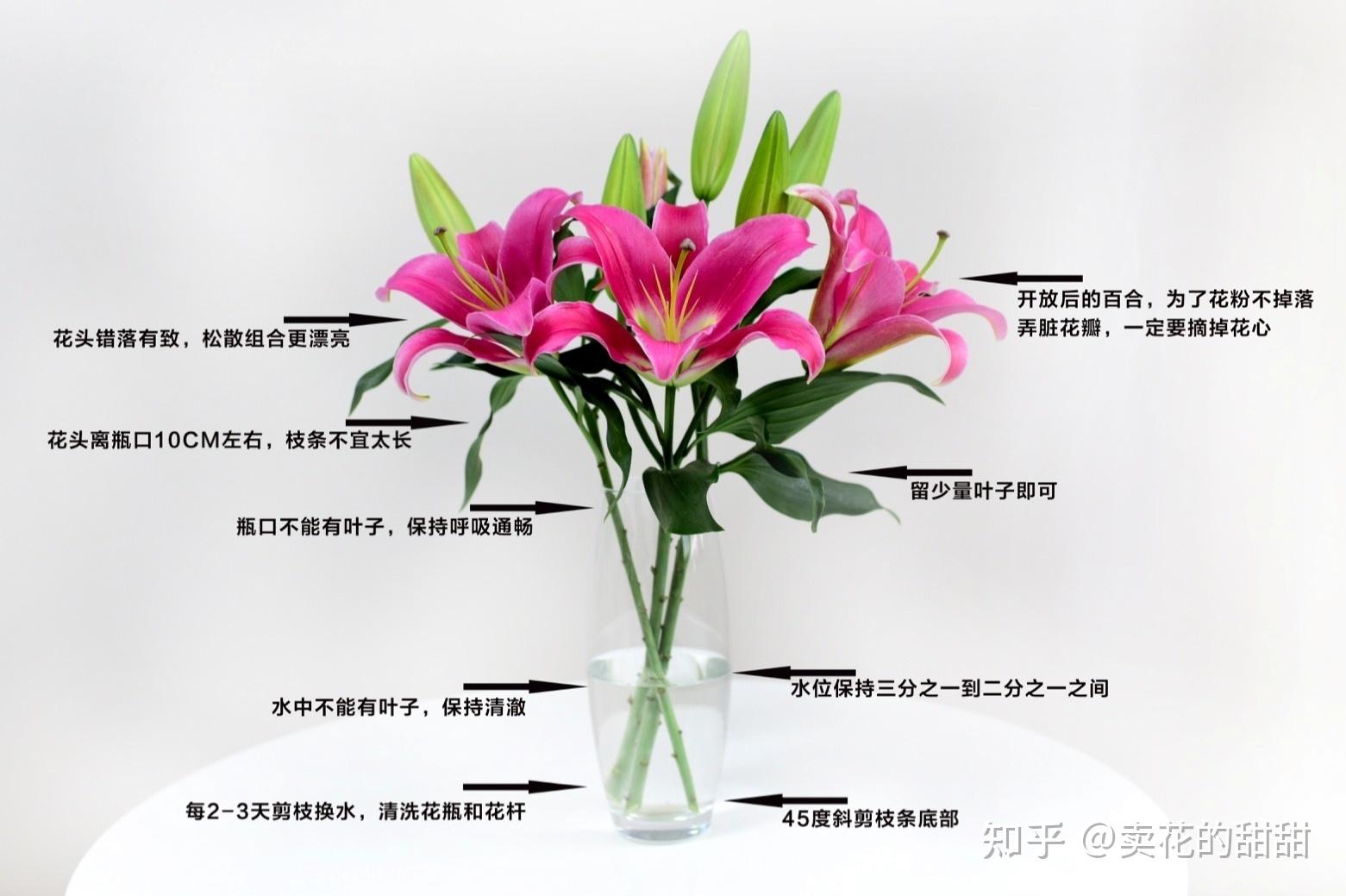 常规类花材养护通用篇