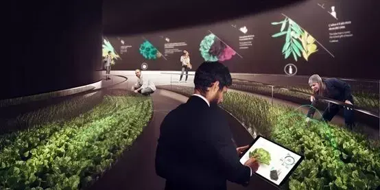 Eataly:农业旅游沉浸式消费体验天花板