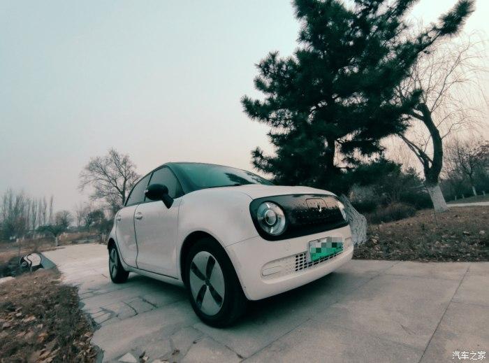 欧拉黑猫车如其名像猫一样的欧拉黑猫啊