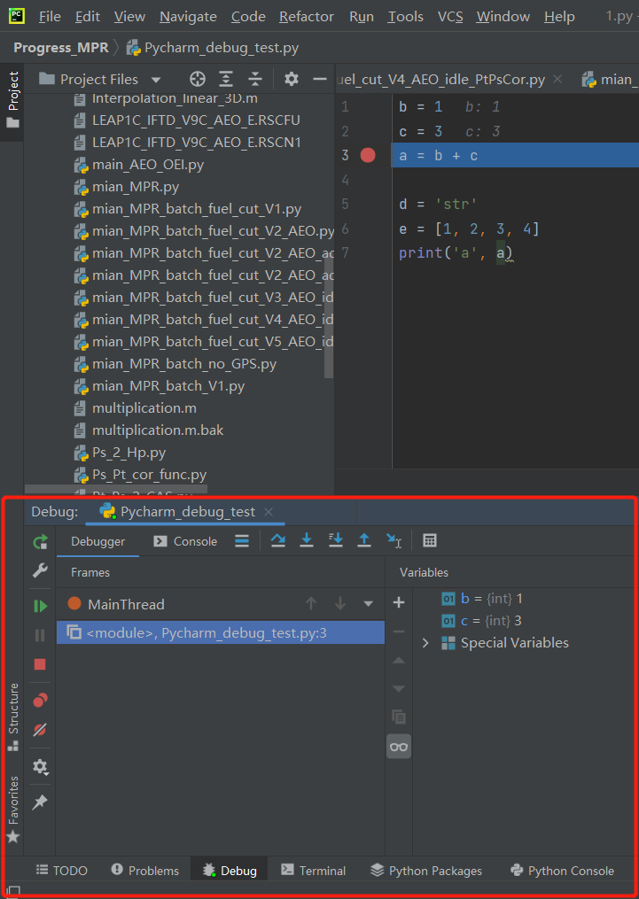 Pycharm debug 