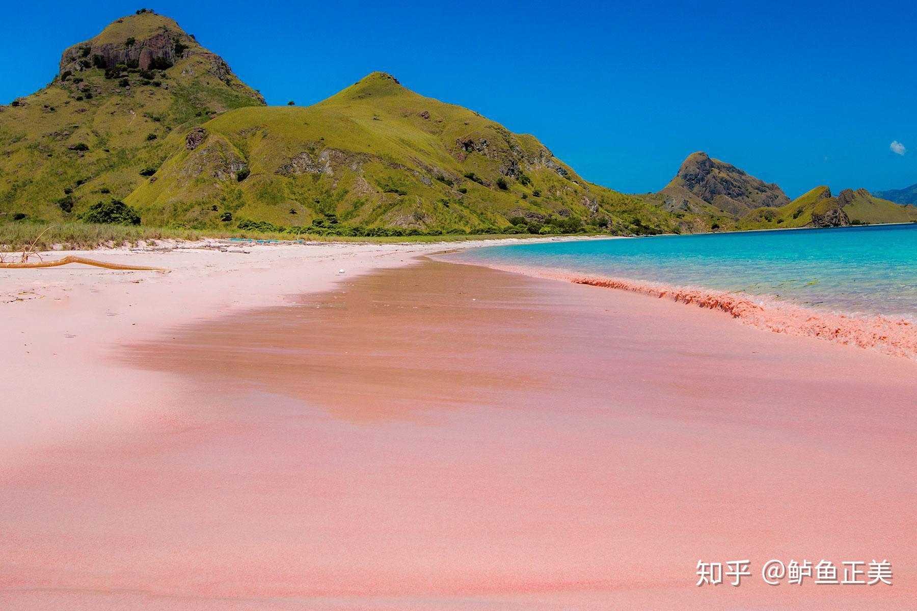 Barbuda's Pink Sand Beach named as the 7th best beach vacation destination in the world ...
