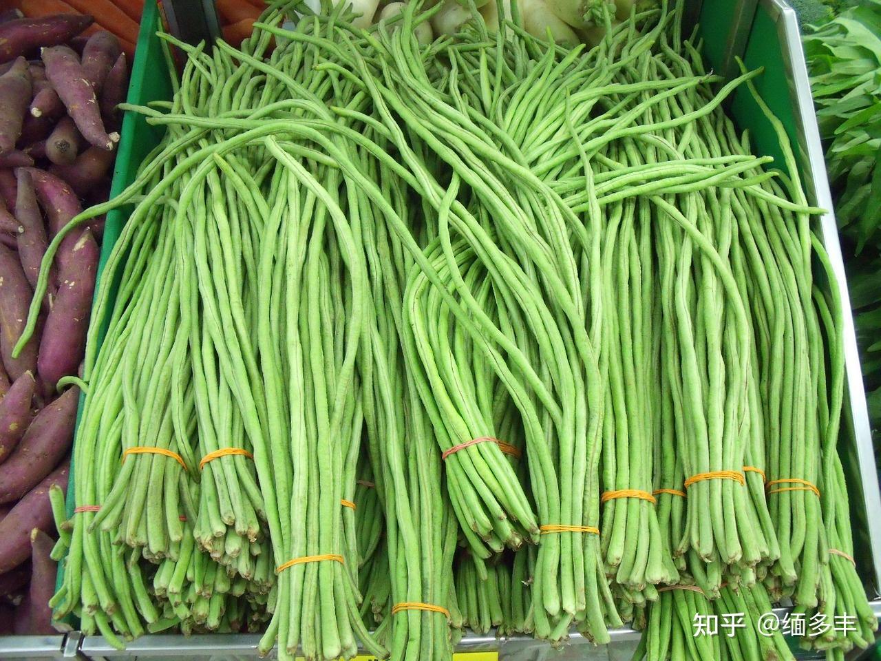 长豇豆-中国蔬菜作物-图片