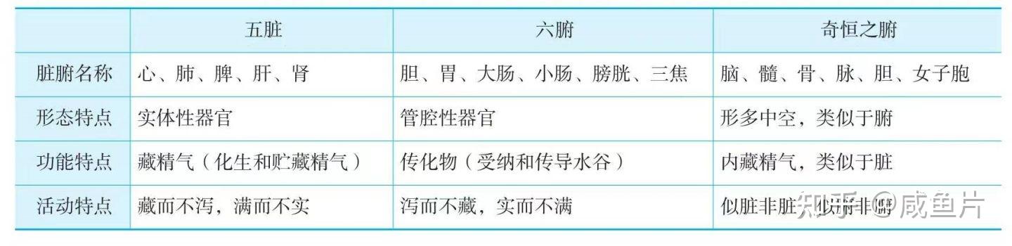 中医养生入门:五脏六腑具体是哪五脏?哪六腑? - 知乎
