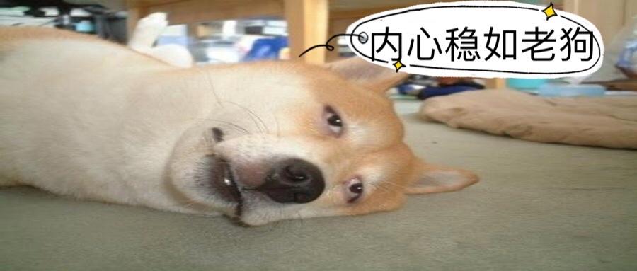 v2-5b54fad7865e812a4abee79e509aa1e6_1440w.jpg?source=172ae18b
