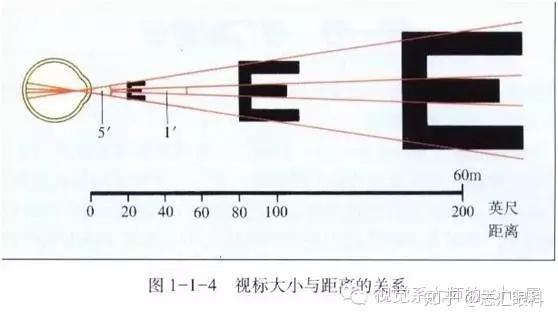 非洲马赛人竟然可以挑战视力6.0,人类真有这个极限吗? - 知乎