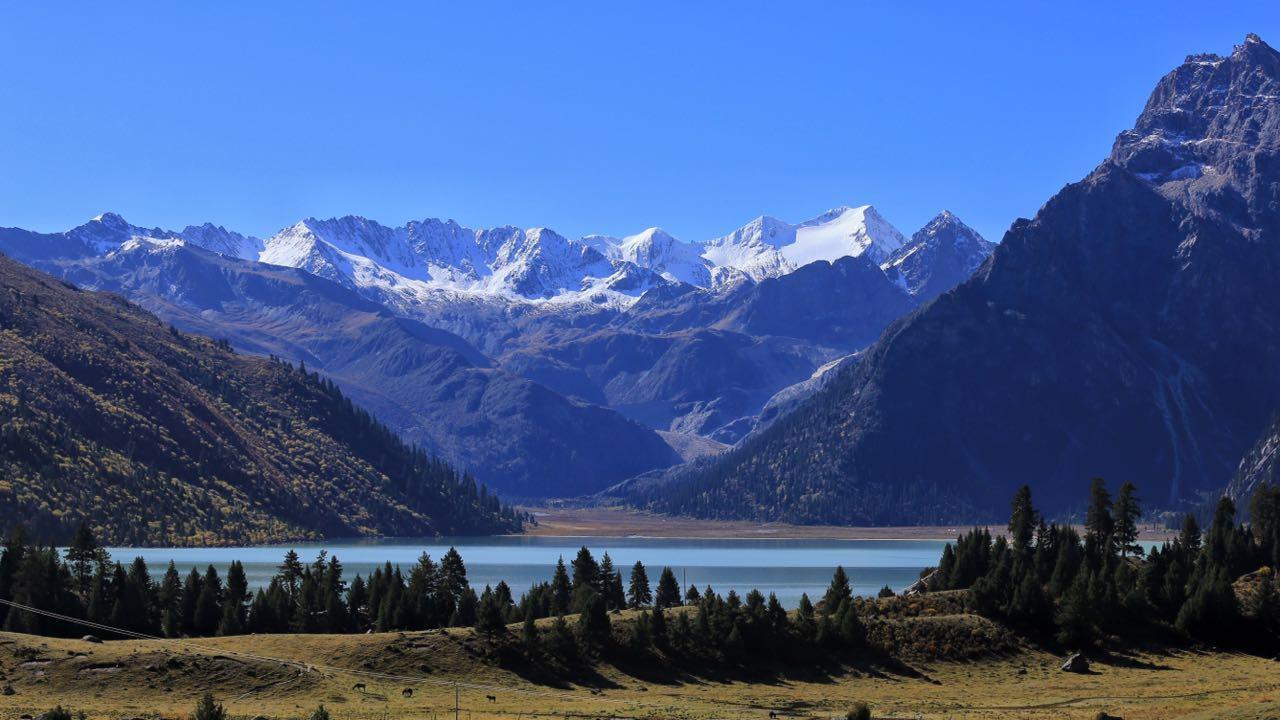 2016十一川内317-318大环线