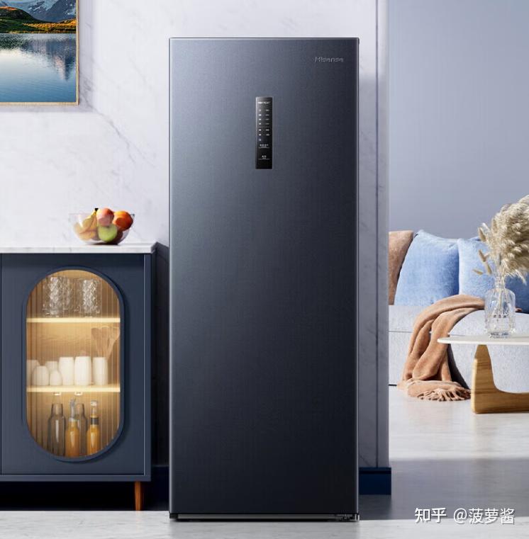 2024年值得推荐的高性价比省电小冰柜省电小冰柜十大品牌排行榜