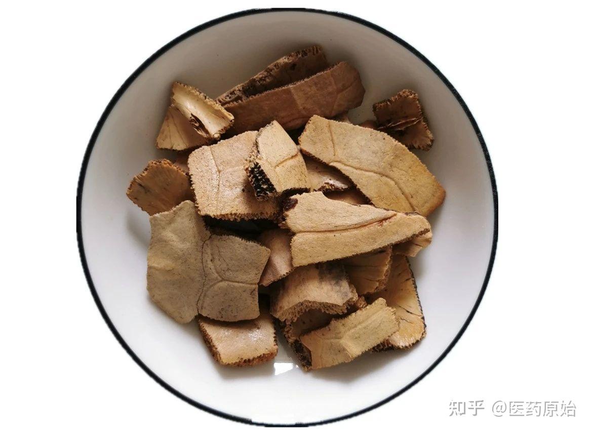 带你识别龟甲 - 知乎