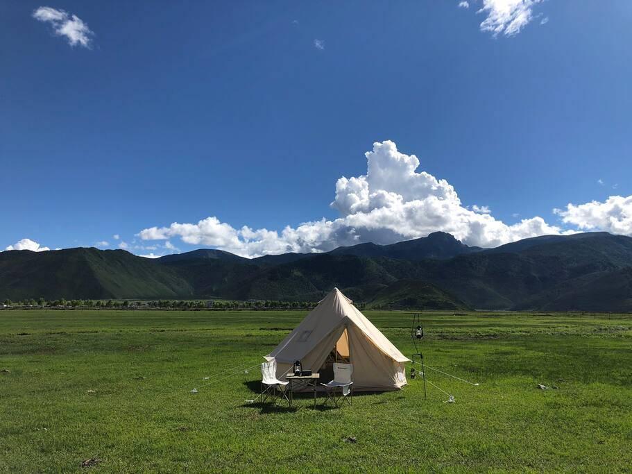 草原上的帐篷民宿,出门就是牛群