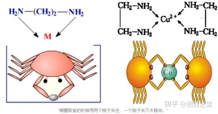 钆类对比剂MRI 螯合物/SPECT影像影像双模态/MRI-T1造影剂/T1造影剂-齐岳 - 知乎