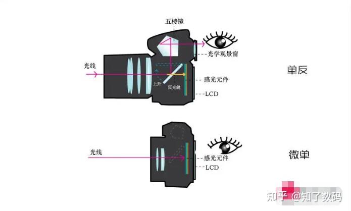单反和微单的区别是什么?应该怎么选?摄影入门必读相机基础知识篇!(大白话版!) - 知乎