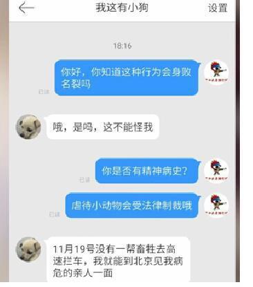 东方卫视爱狗人士 陈岚 爱狗人士怎么不闹了 爱狗人士向杀狗人下跪