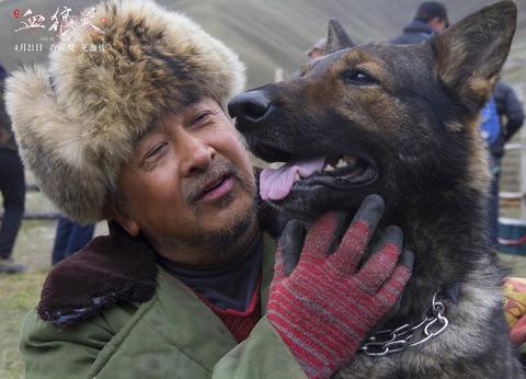 血狼犬