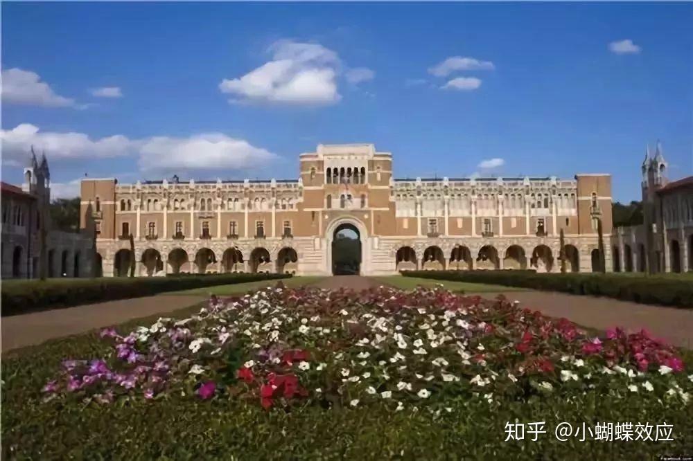 萊斯大學