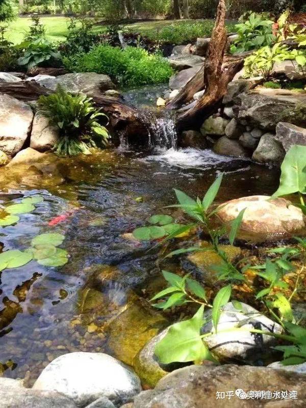 想择水而居?不可不知的园林景观水景6大类型 - 知乎