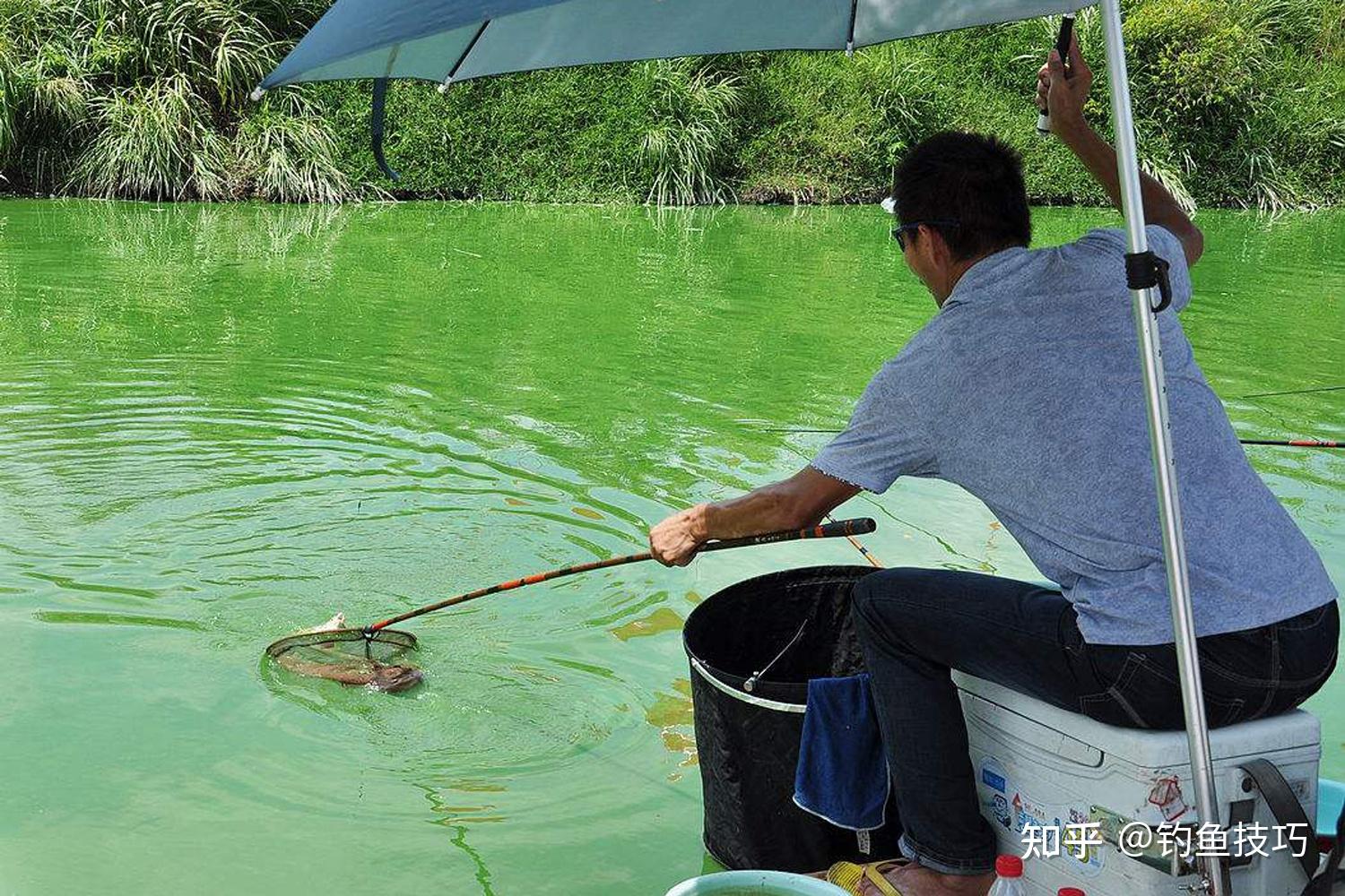 夏季天氣悶熱時怎樣釣魚在天氣悶熱時釣魚的技巧和用餌策略