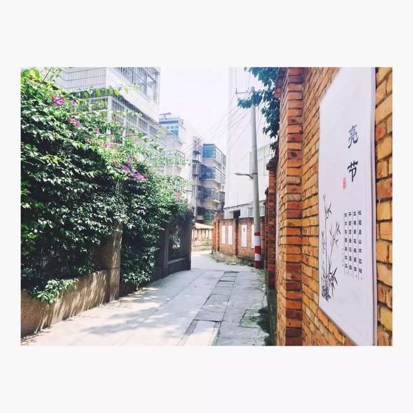 在昆明一个人一天去哪玩比较好?