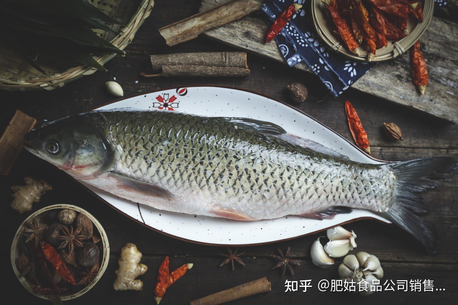 贵州鱼种大全-图库-五毛网