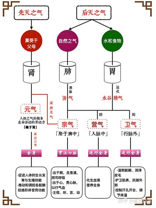 中医基础--气 - 知乎